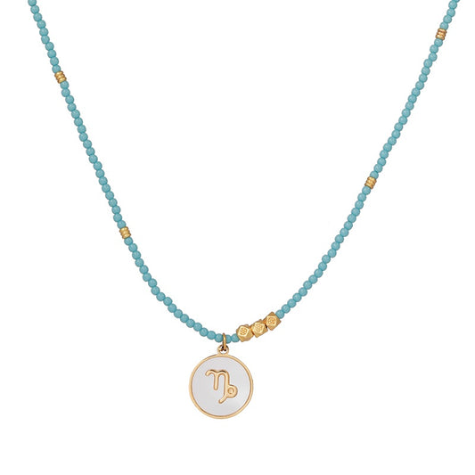 Capricorn Zodiac Star Sign Pendant Necklace